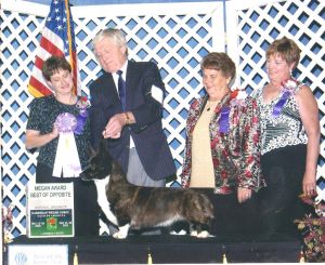 U.K Ch and Am Ch Joseter Ardbeg Malt