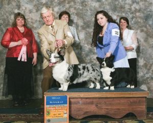 CH Beaszak's Blue Nude